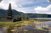 Maximize Bali