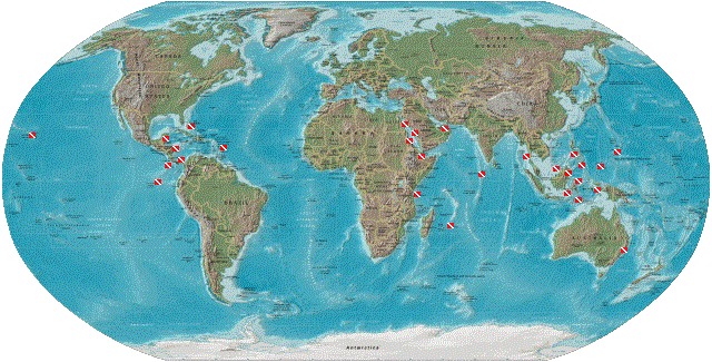 World Map